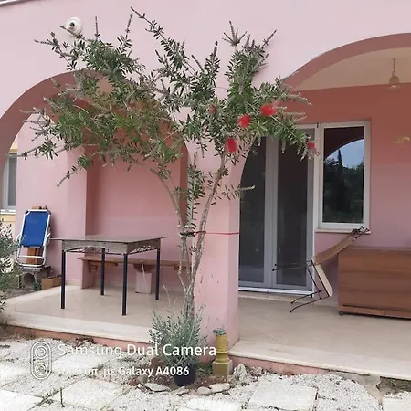 Olga-corfu * Kynopiástai
